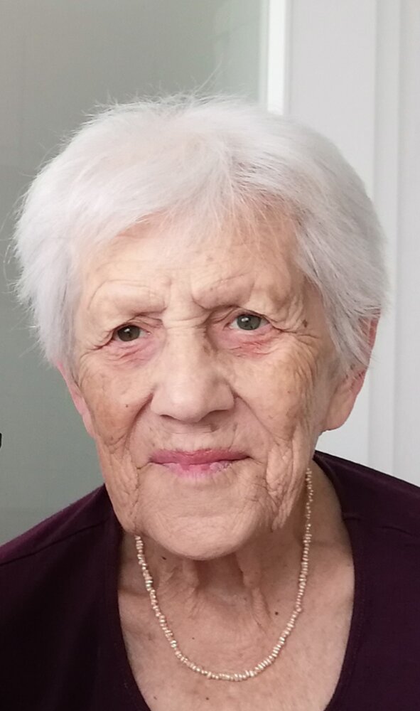 EMALOVI ADILA Jedileri D o o emalovi-adila-jedileri-d-o-o