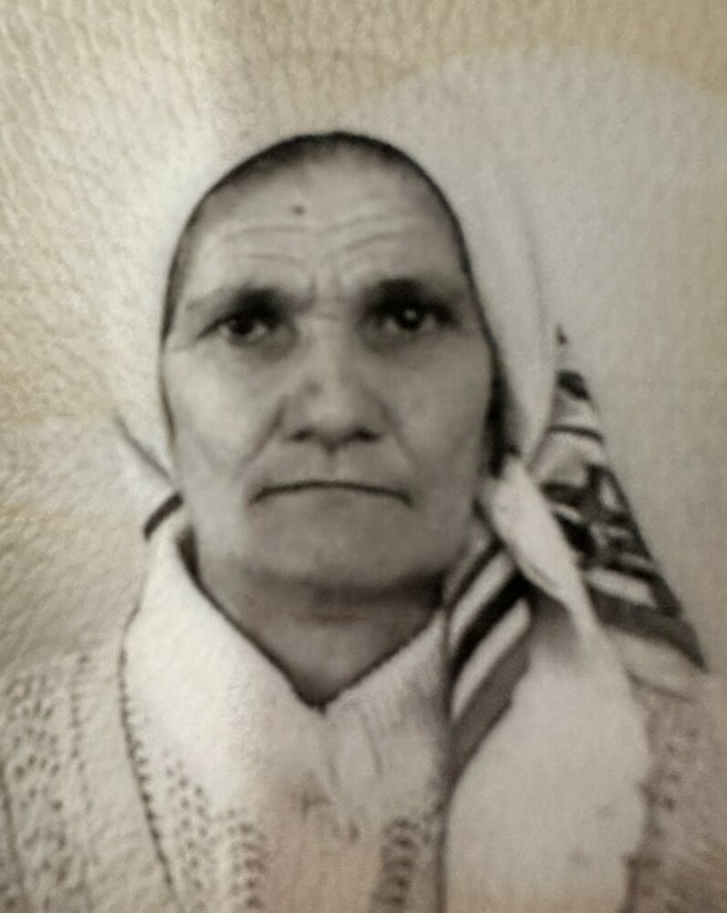 PLJEVLJAK ŠEMSA Jedileri d.o.o.