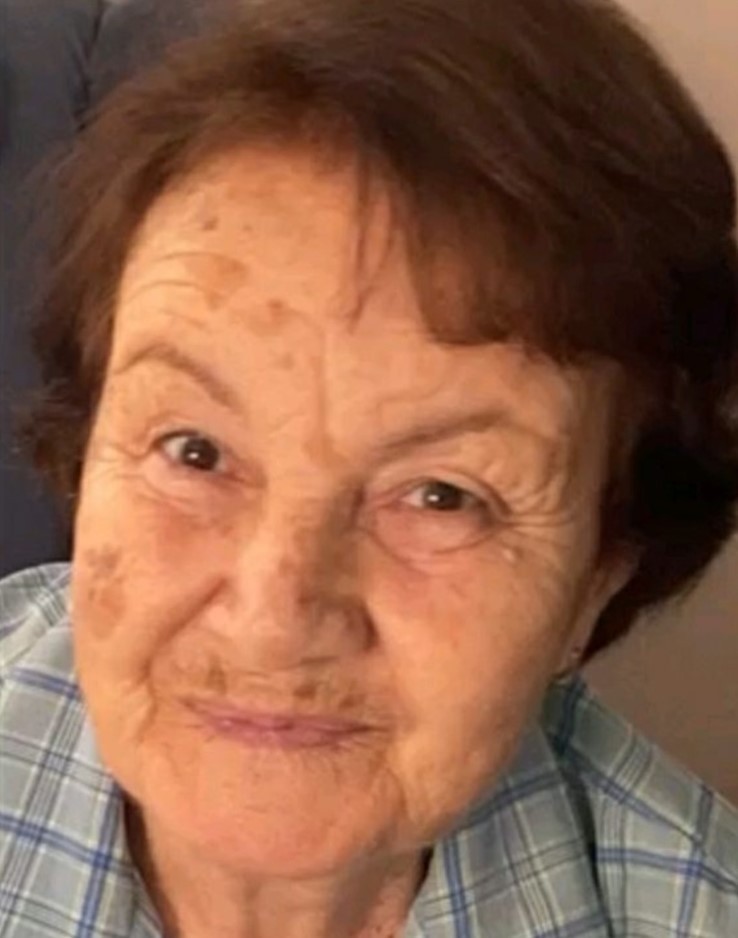 vukoti-hazira-jedileri-d-o-o